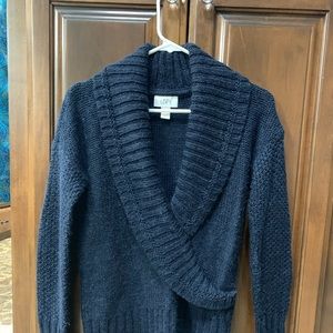 Loft Navy Sweater